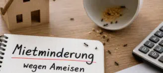 Ameisen auf Notizbuch mit dem Titel Mietminderung neben Taschenrechner auf einem Tisch