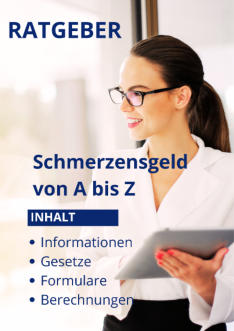 Ratgeber Schmerzensgeld